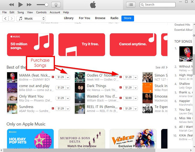 How to Burn Apple Music to CD - Purchase the Songs You Want
